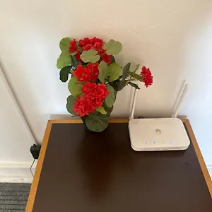  Pensión Rose View